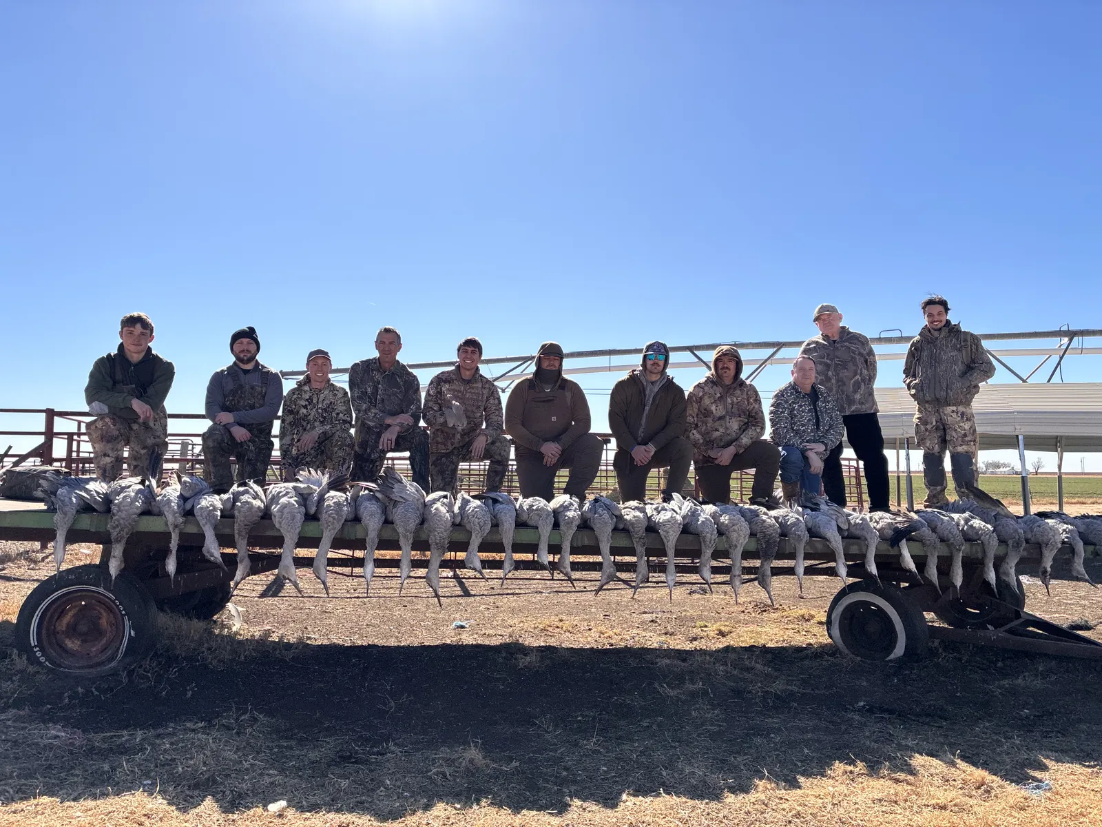 Eleven camo-clad hunters seated along a long trailer with a full limit of sandhill cranes laid across the front edge, a center-pivot irrigation line behind under a bright blue sky