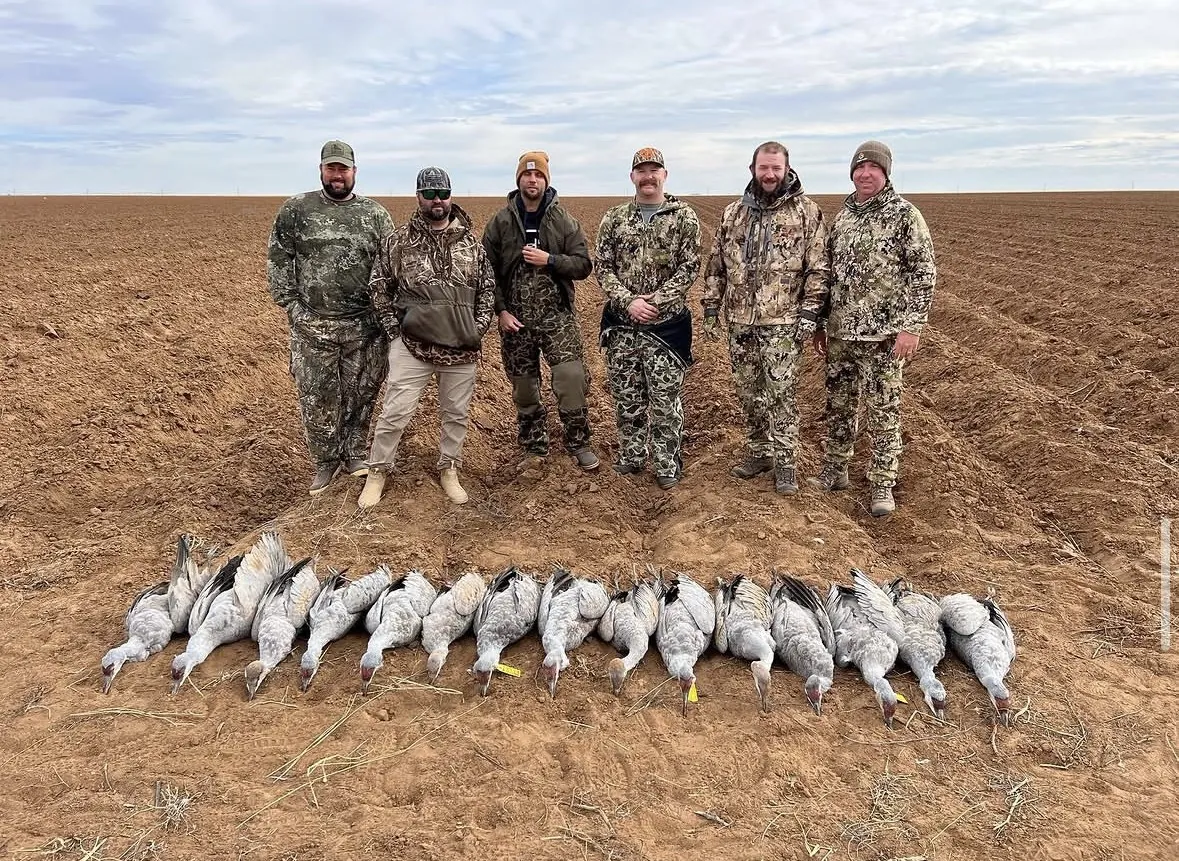 Six hunters in camouflage standing in a plowed field behind a row of about a dozen sandhill cranes laid on the dirt under an overcast sky