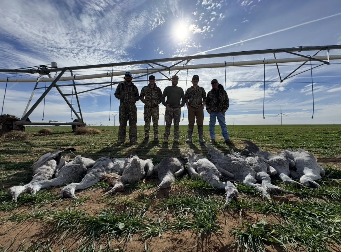 Five hunters standing beneath a center-pivot irrigation line in a green winter-wheat field, a row of sandhill cranes laid out in front and wind turbines on the horizon