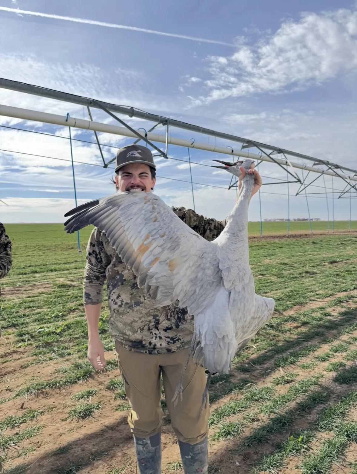 A grinning hunter in camo holding up a single large sandhill crane with its wings spread wide in a green field beneath an irrigation pivot line
