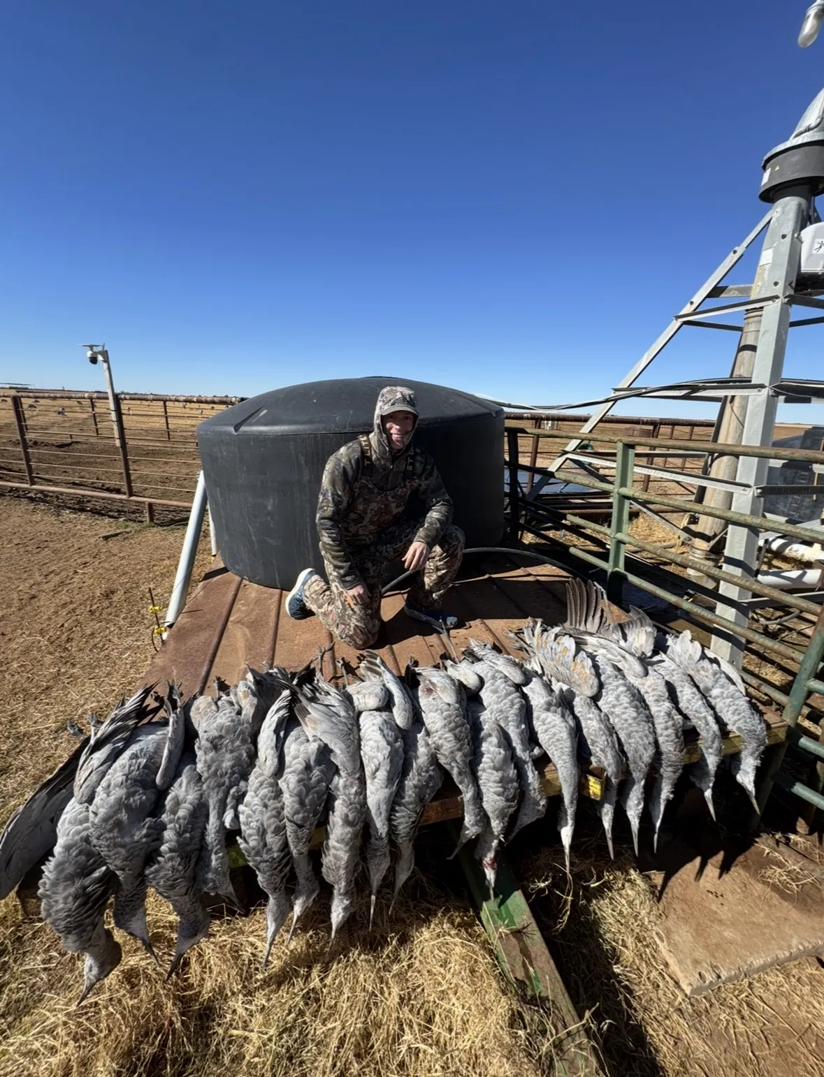 A hunter kneeling on a rusted metal platform beside a black poly water tank at a cattle pen, a long row of sandhill cranes laid out in front of him beside a windmill tower