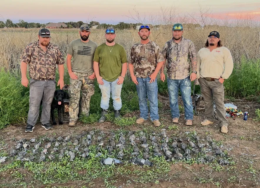 Six hunters and a black Labrador standing in a weedy field at dusk behind a long spread of dozens of doves laid on the ground, a pink sunset sky behind