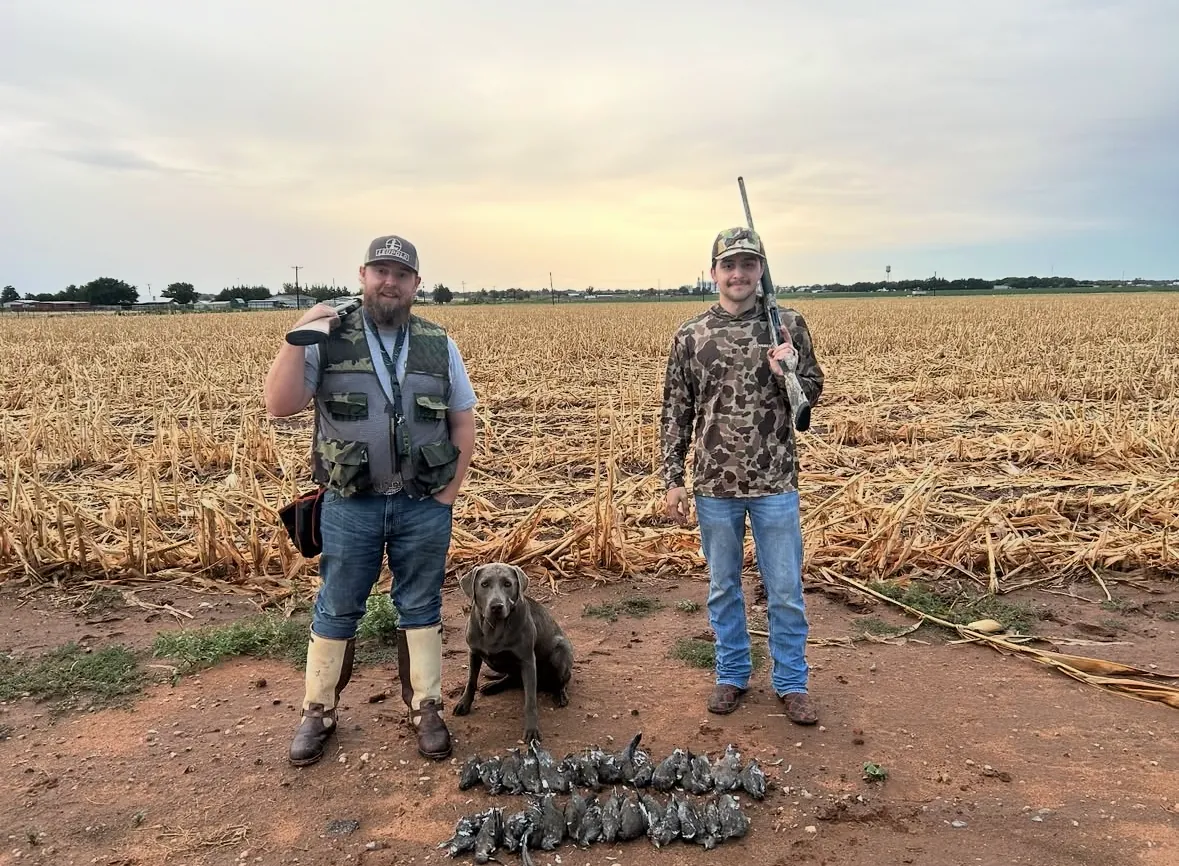 Two hunters holding shotguns over their shoulders in a picked cornfield at sunset with a silver Labrador between them and a row of doves laid on the dirt in front