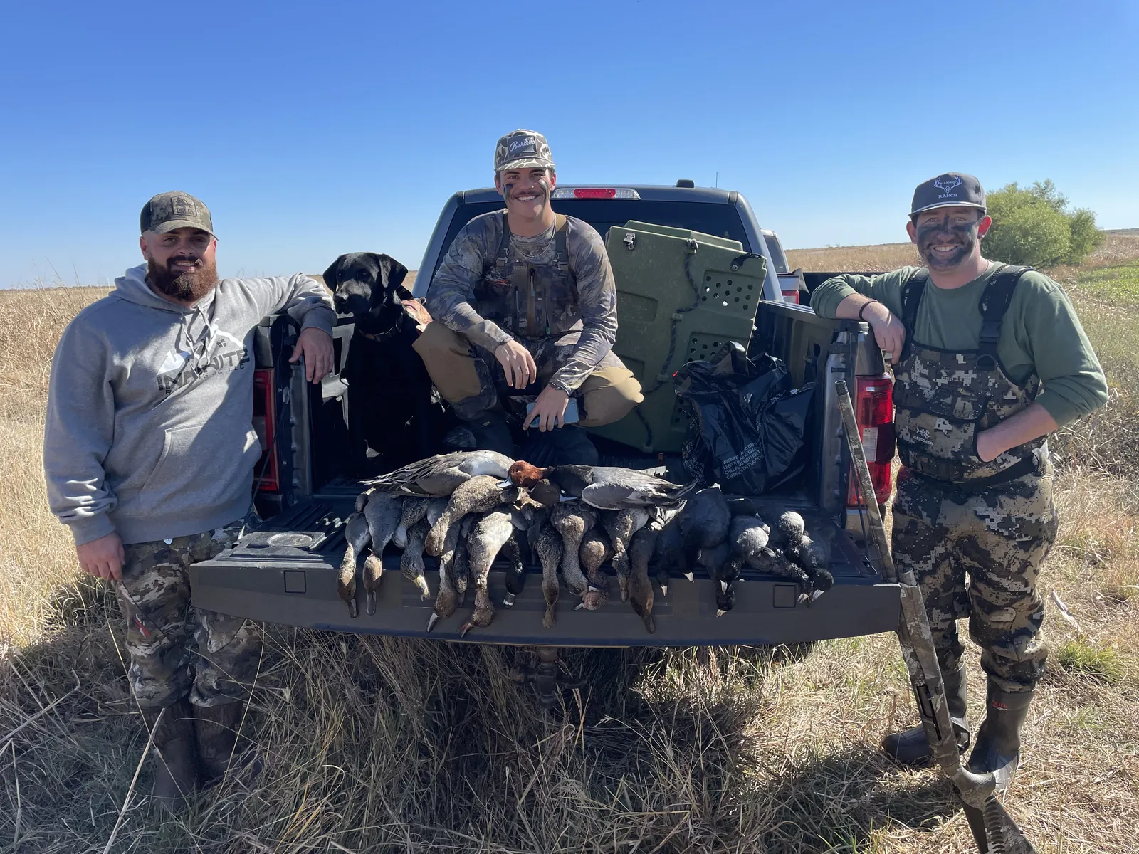 Three hunters and a black Labrador gathered at the open tailgate of a pickup in a dry-grass field, a spread of drake ducks including a redhead laid across the tailgate under a blue sky