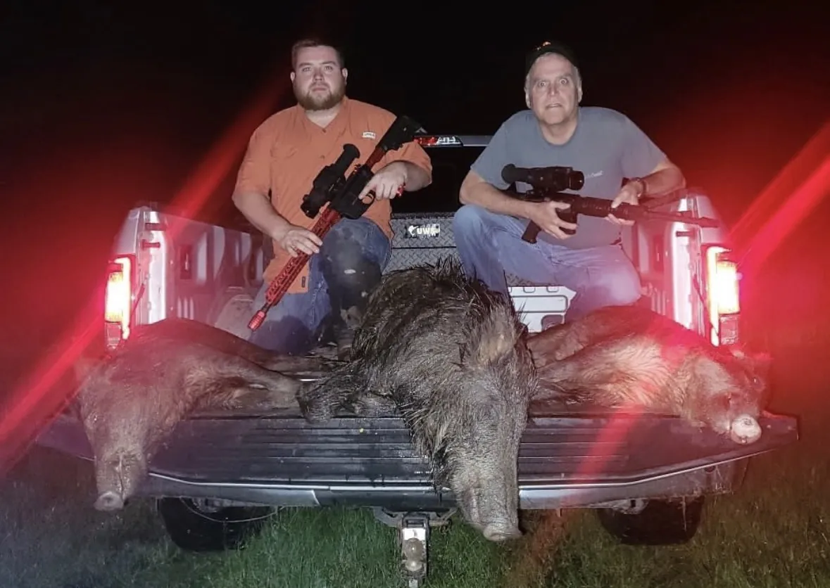 Two hunters in a pickup bed holding scoped rifles behind two wild hogs on the tailgate, lit red at night