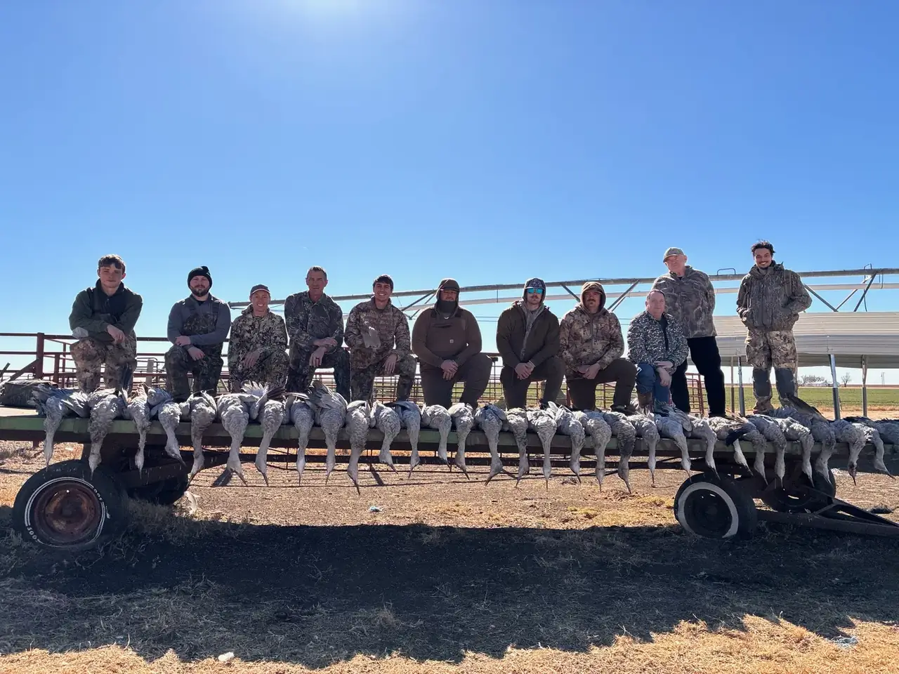 Hunters behind a long row of sandhill cranes laid out after a morning hunt near Lubbock