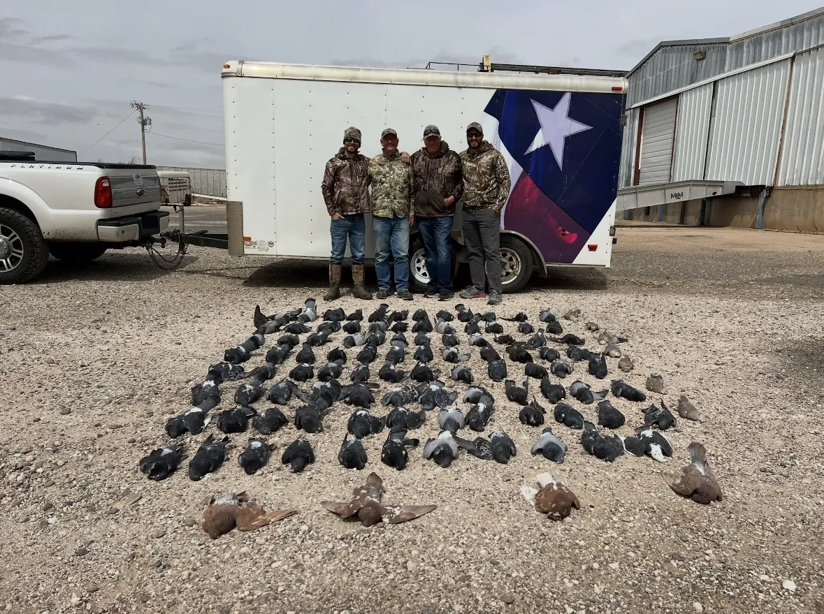 Four hunters standing before a Texas-flag-wrapped trailer with a wide grid spread of pigeons laid on gravel, a white pickup and metal building under an overcast sky